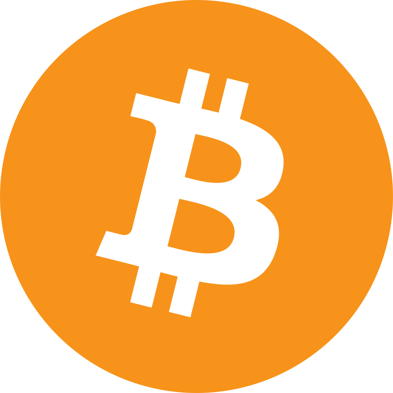 Bitcoin Pizza Day